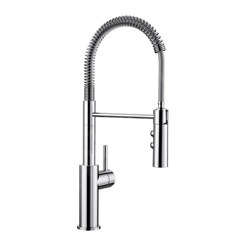 Blanco Catris-S Kitchen Faucet with Pull-Down Spray and Flexible Arm, Chrome