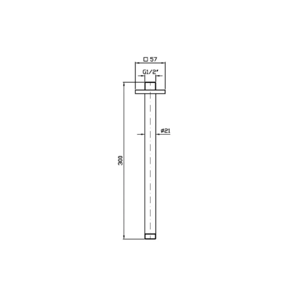 Zucchetti Aguablu Ceiling Shower Arm Z93042